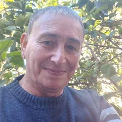 Dany Nipoti's profile picture