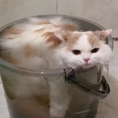 ra_kky's profile picture