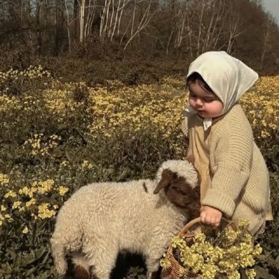 صہْدِقہَہ جہَارِيہَہ 📻❣️'s profile picture