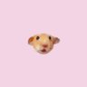 🗿's profile picture