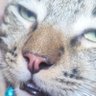 Miguel's profile picture