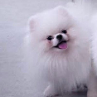 XieXie0904's profile picture