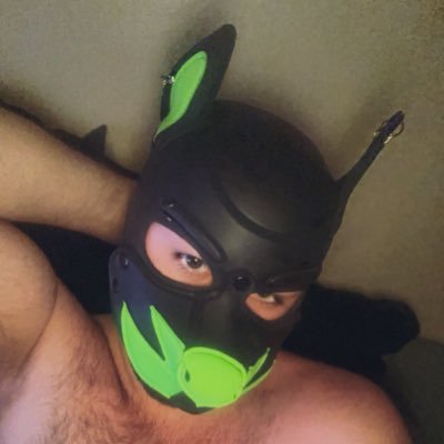 PupCashK9's profile picture