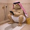 Profilbild von Raoof
