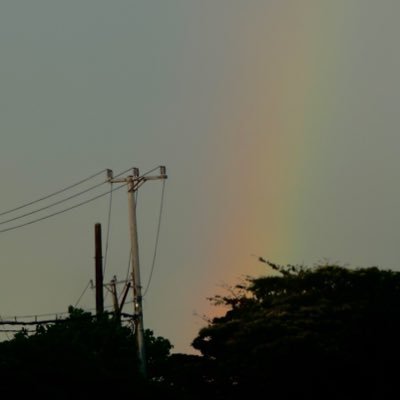 leerylo0ns's profile picture