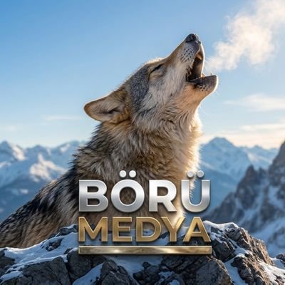 medyaboru's profile picture