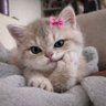 PatiliPapirüs's profile picture