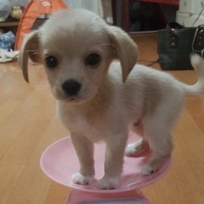 띠룽이💟's profile picture