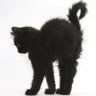 Maggie's profile picture