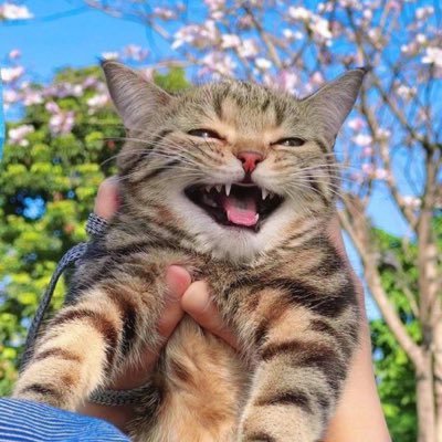 ppppatty_'s profile picture