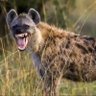 Dakurus W profil fotoğrafı