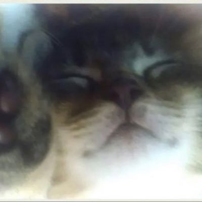 nooloogy's profile picture