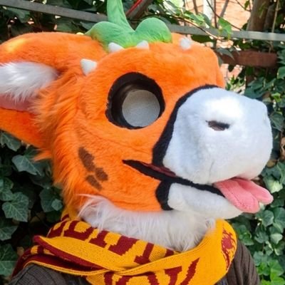 OranyTheMexicanFurry's profile picture