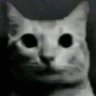Eternal profil fotoğrafı