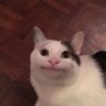 Profilbild von 만수르숟가락