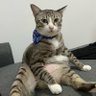 Фото профиля っᥫ᭡꒦꒷ꗃ