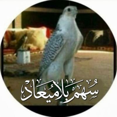 سهم بلاميعاد's profile picture