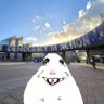 OmegaHamster 的头像