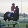 Фото профиля 🔴マリリィ🦁フアンキイィイ゙🔴じゃじゃ馬ガール🐴