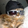 yungho's profile picture
