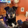Cowboy's profile picture