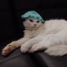 MAVI profil fotoğrafı