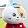 Profilbild von けけん