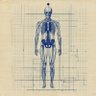 AIからだ研究室|身体の設計図ラボ profil fotoğrafı