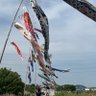 元尾張のキンキ民 profil fotoğrafı
