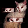 ? solvi ?'s profile picture