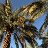رَجُلٌ 的头像