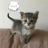 Фото профиля katie