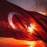 Birce Yılmaz 的头像