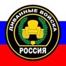 228-й ударный полк СДО РФ 的头像