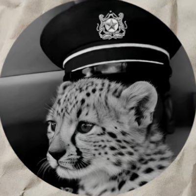 __jo10__'s profile picture