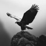 Heigh_01's profile picture