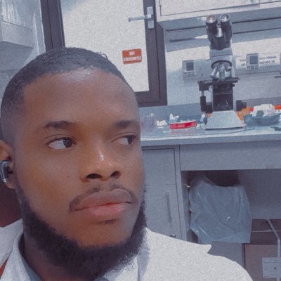 Paul D'Major's profile picture