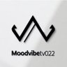 Moodvibetv022's profile picture