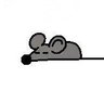 Jasmine.'s profile picture