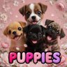 Фото профиля puppies GU