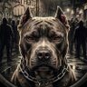 Фото профиля ONLY STREET FIGHTS