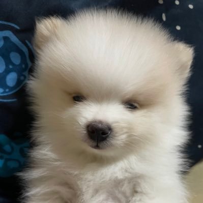 soshitaroz's profile picture