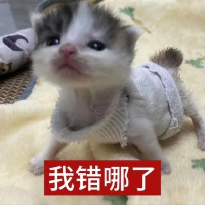 lychee's profile picture