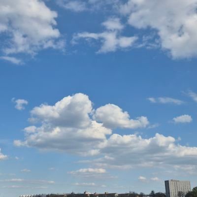 suckmask76's profile picture