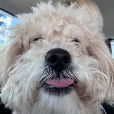saamonn's profile picture