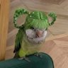 Profilbild von ຮṎᑬᏲḭᾀ✨