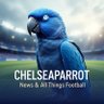 Chelsea Talkative profil fotoğrafı