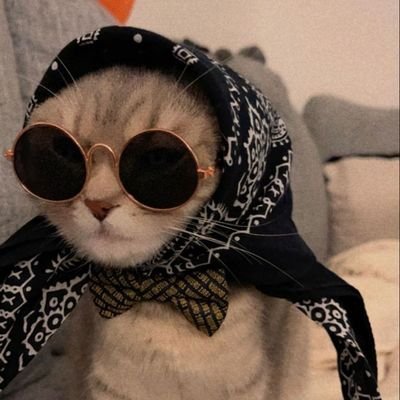 𝓟 ❤︎'s profile picture
