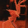 Фото профиля なかまる