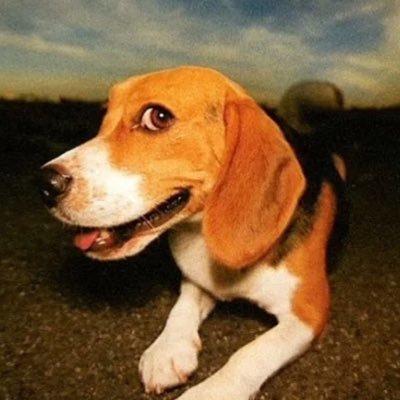 Ⓟ's profile picture